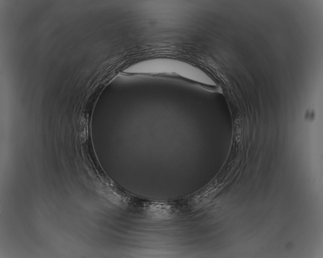 X0000088850471200706291459