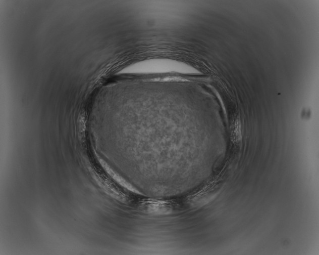 X0000088850472200706291459