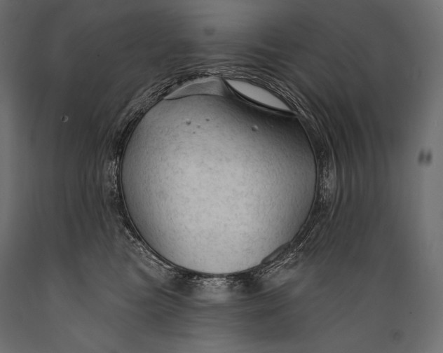 X0000088850473200706291459