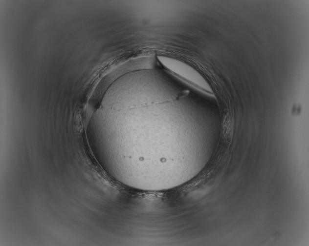 X0000088850474200706291459