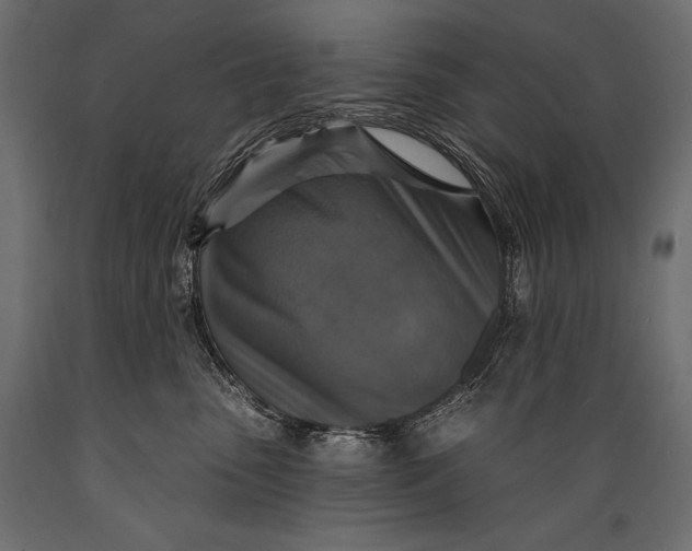 X0000088850475200706291459