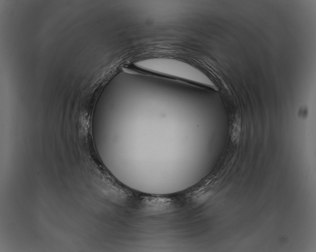 X0000088850476200706291459