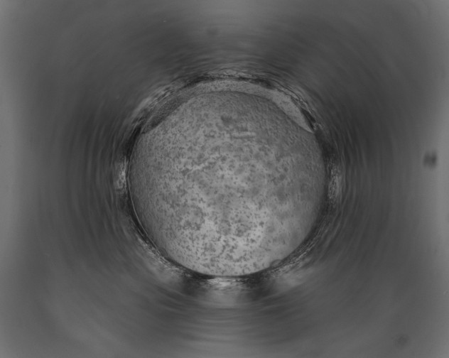 X0000088850477200706291459