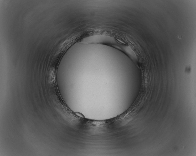 X0000088850478200706291459