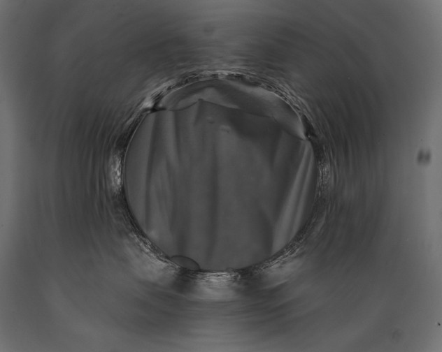 X0000088850479200706291459