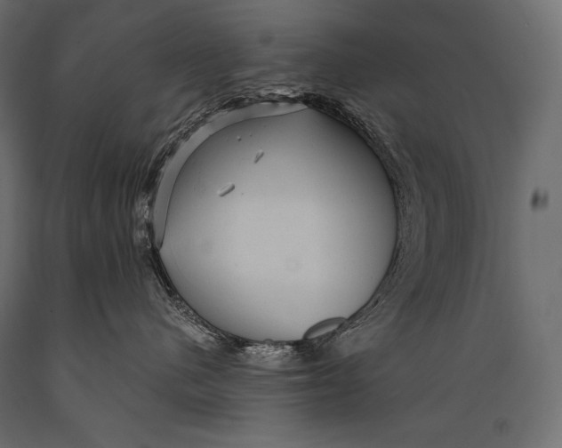 X0000088850480200706291459