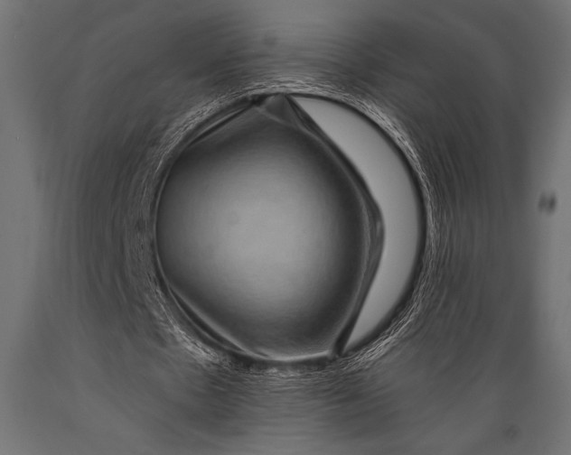 X0000088850481200706291458