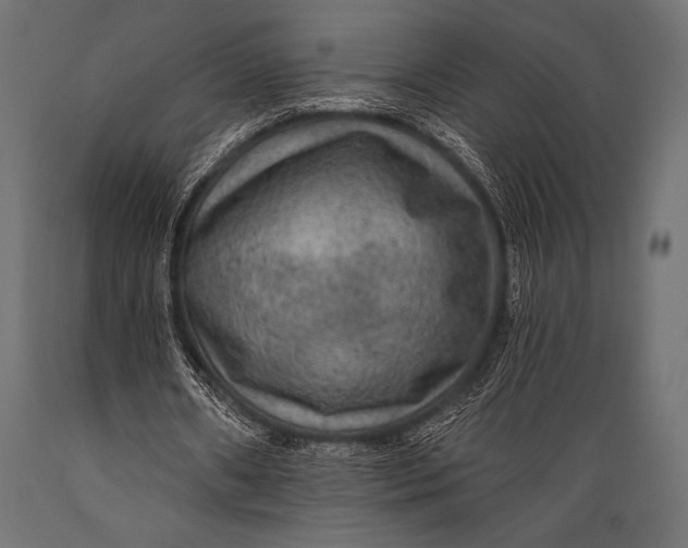 X0000088850482200706291458