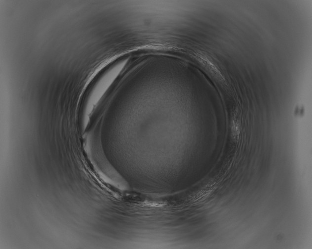 X0000088850484200706291458