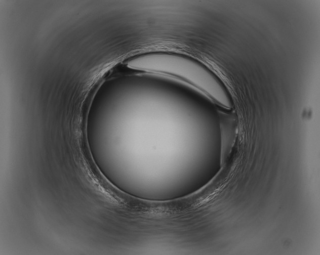 X0000088850485200706291458