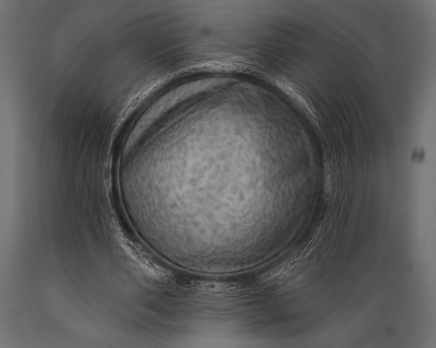 X0000088850486200706291458