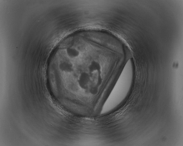 X0000088850487200706291458