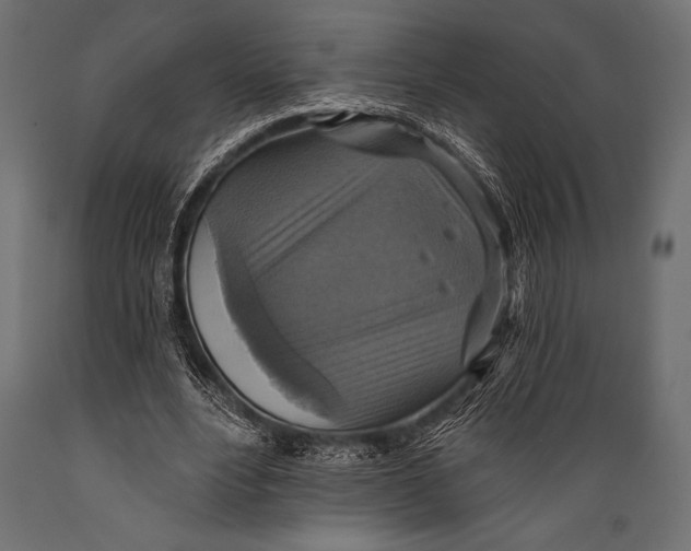 X0000088850488200706291458