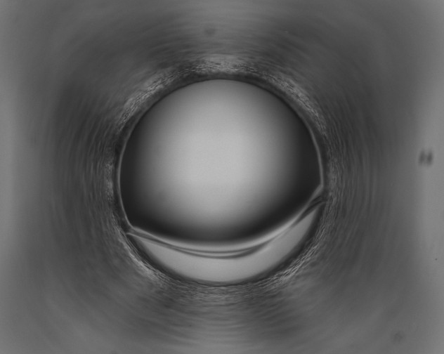 X0000088850489200706291458