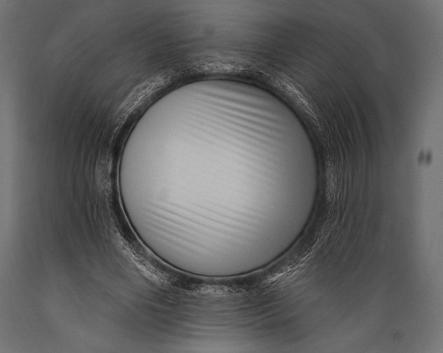 X0000088850490200706291458