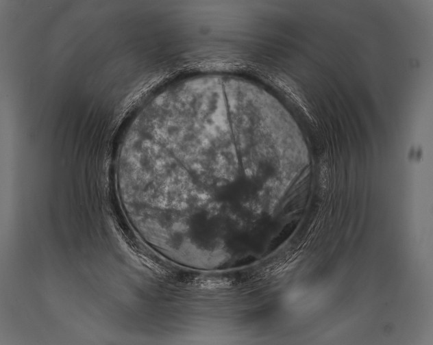 X0000088850491200706291458