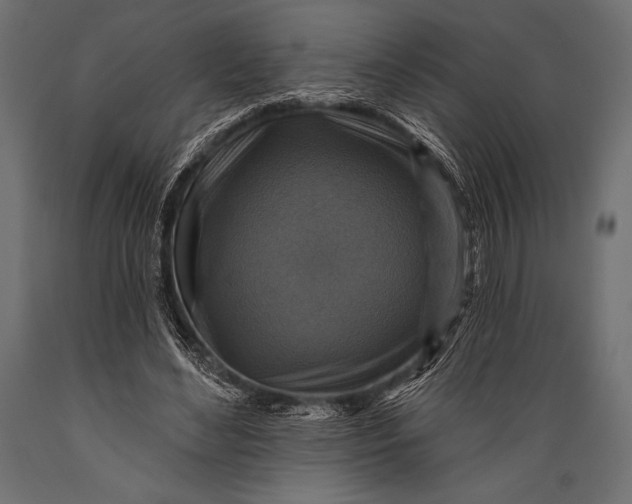 X0000088850492200706291458