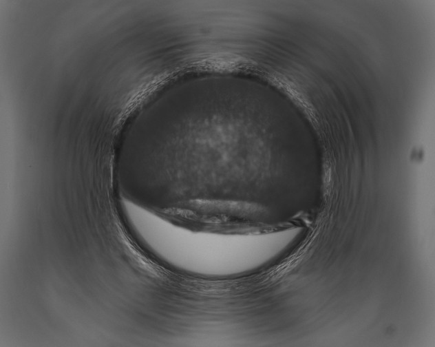 X0000088850493200706291458