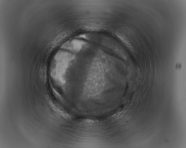 X0000088850494200706291458