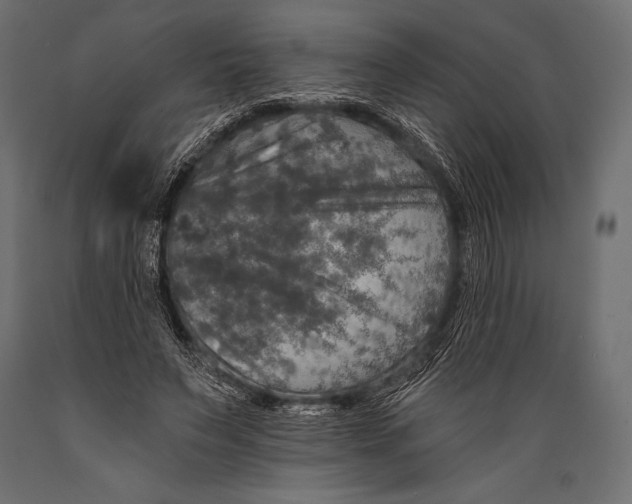 X0000088850495200706291458