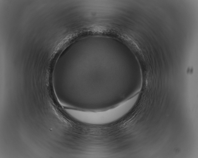 X0000088850496200706291458