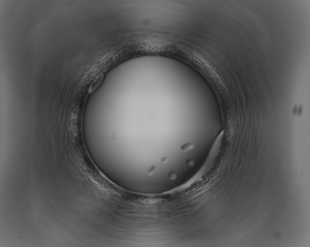 X0000088850497200706291458