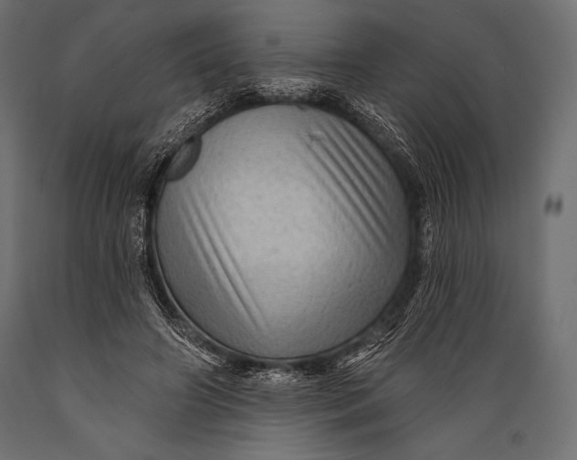 X0000088850498200706291458