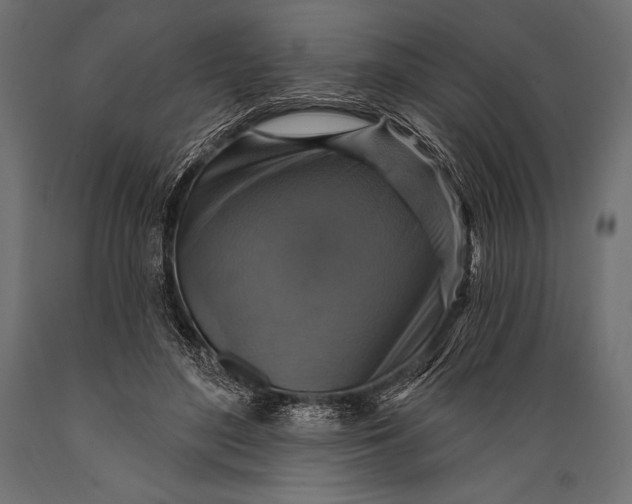 X0000088850500200706291458