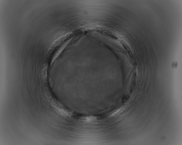 X0000088850501200706291458