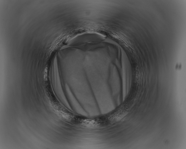 X0000088850502200706291458