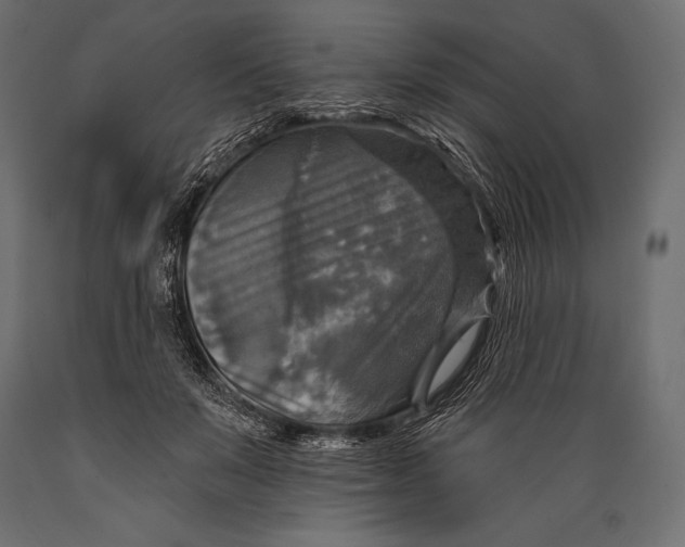 X0000088850503200706291458