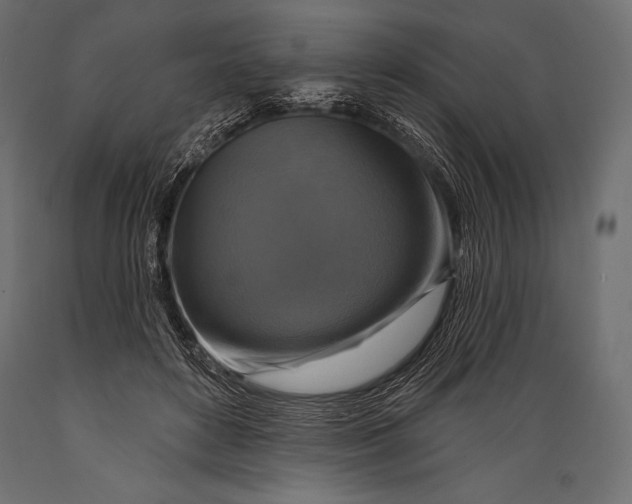 X0000088850504200706291458