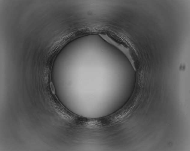 X0000088850505200706291458