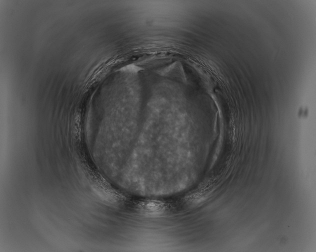 X0000088850506200706291458