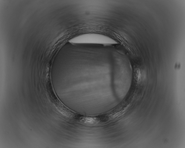 X0000088850507200706291458