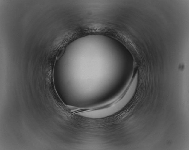 X0000088850509200706291458