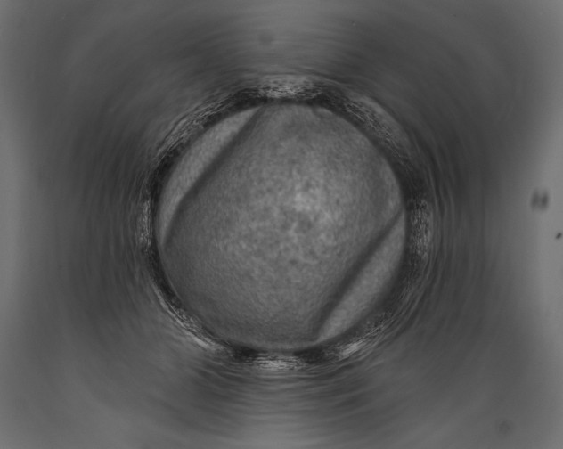 X0000088850510200706291458