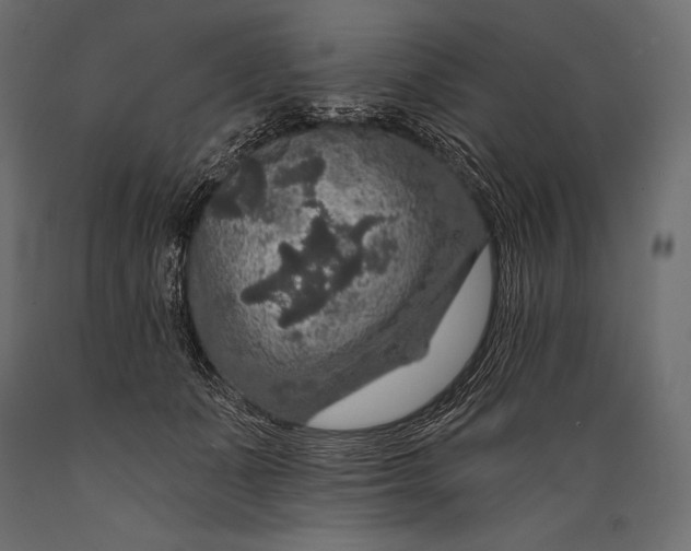 X0000088850511200706291458