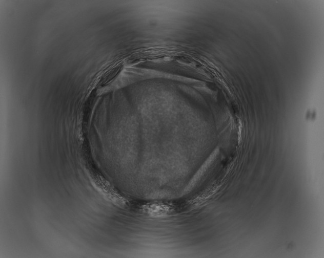 X0000088850512200706291458