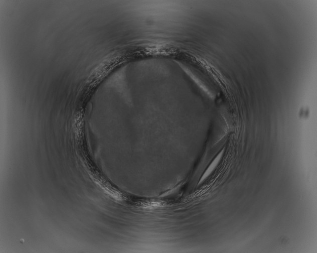 X0000088850513200706291458