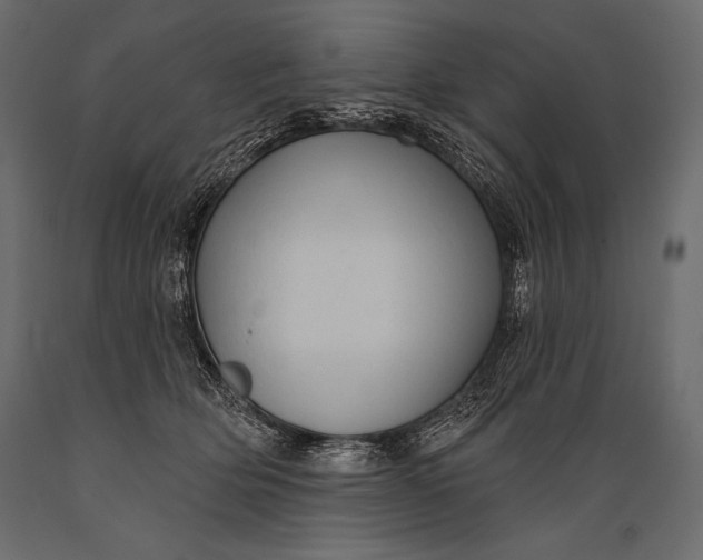 X0000088850514200706291458