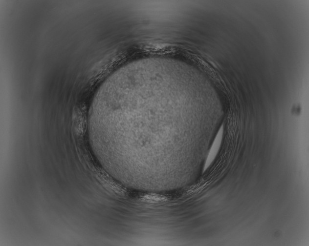 X0000088850515200706291458