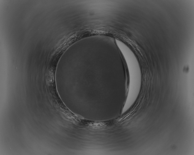 X0000088850517200706291458