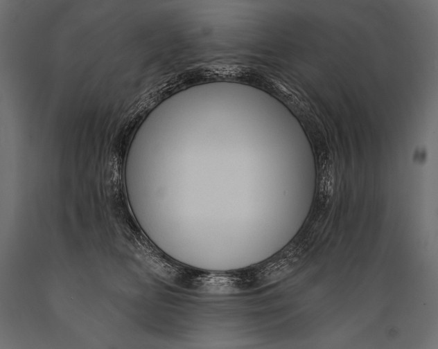 X0000088850518200706291458