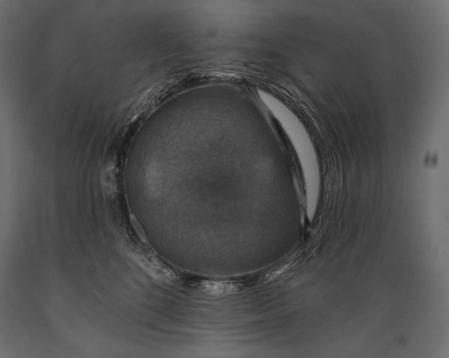 X0000088850520200706291458