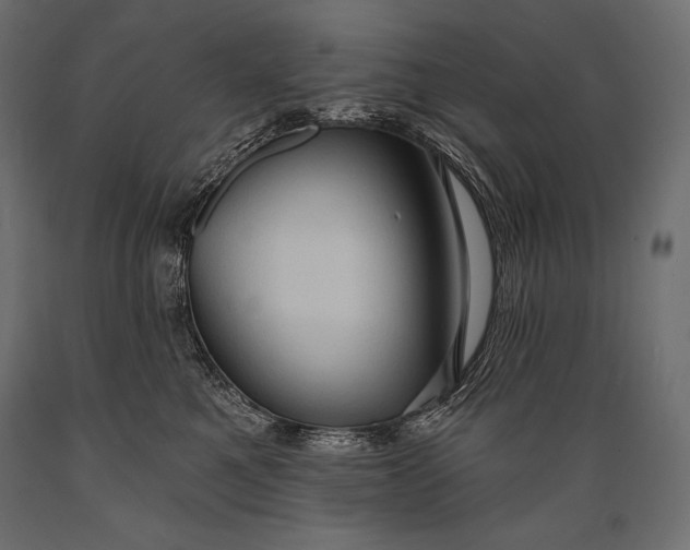 X0000088850521200706291458