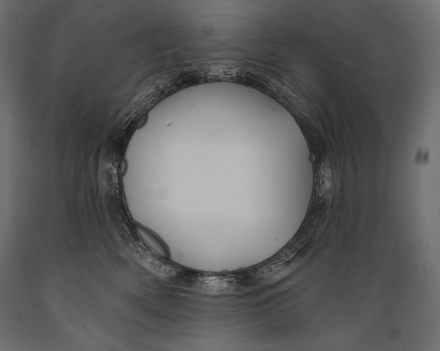 X0000088850522200706291458