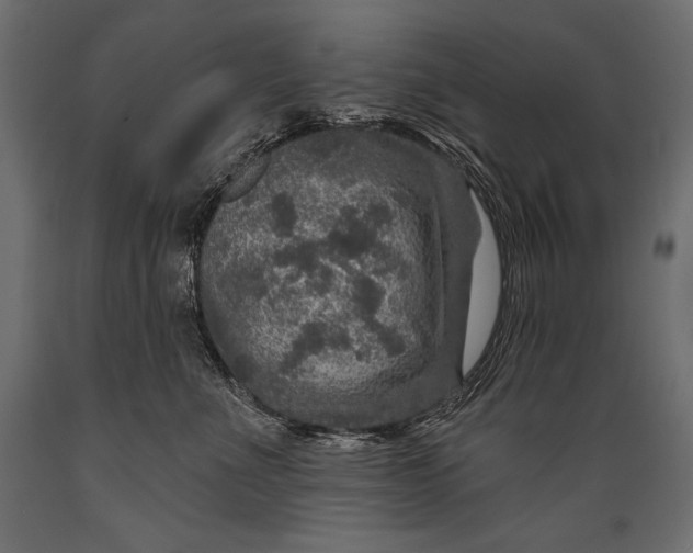 X0000088850523200706291458