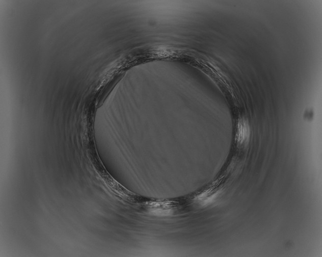 X0000088850524200706291458