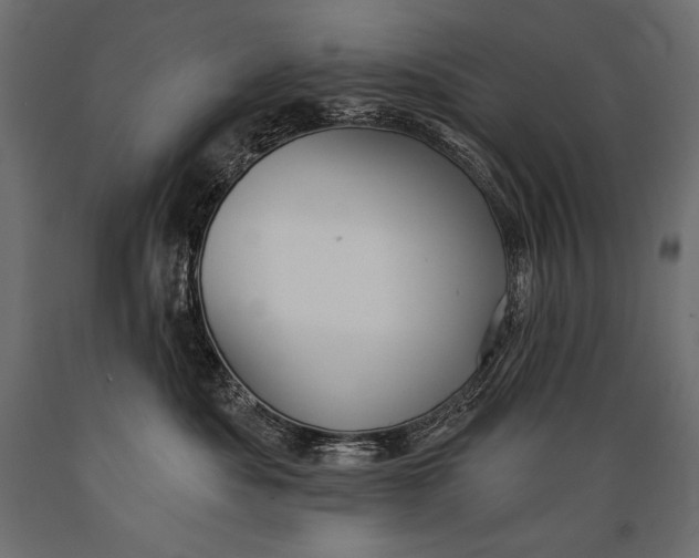 X0000088850525200706291458